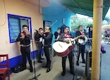 MARIACHI LOS CHARROS OAXAQUEÑOS